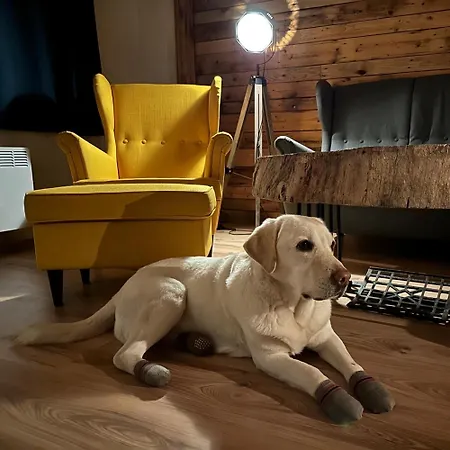Na Samote U Lesa - Jeseniky Appartamento Mikulovice (Jesenik)